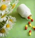 Bottle of allergy capsules and daisies