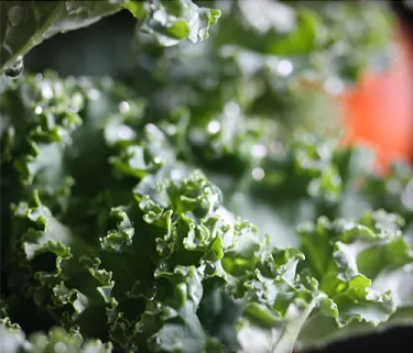 Benefits Of Kale