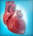 Low T & Heart Disease: What's the Link?