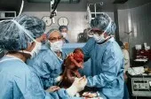 Women urged to rethink early elective C-sections,