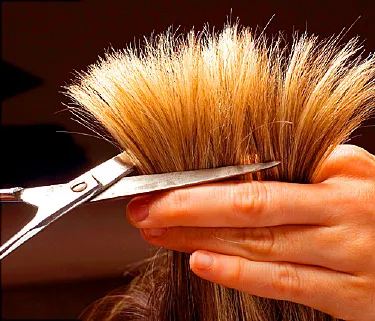 scissors trimming hair