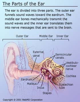 What are some causes of tinnitus?