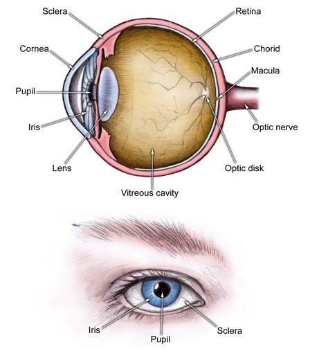 How dangerous of an eye disease is glaucoma?