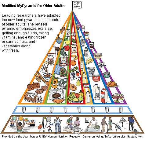 food web pyramid. Get New Food Pyramid