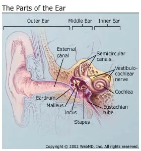 What are the causes of earaches?