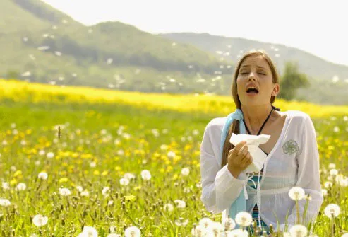 Photo of woman sneezing in flowering meadow