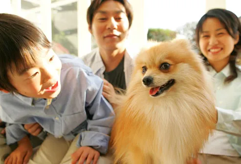 Family With Pomeranian Dog