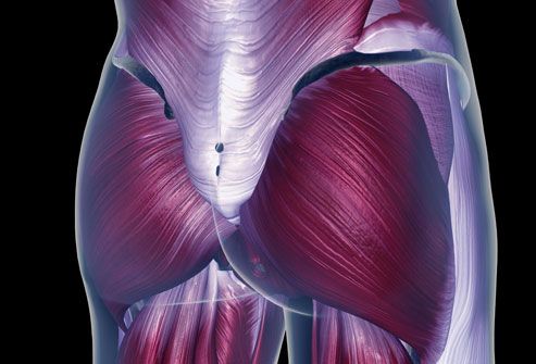 http://img.webmd.com/dtmcms/live/webmd/consumer_assets/site_images/articles/health_tools/better_butt_slideshow/getty_rm_photo_of_hip_muscles.jpg