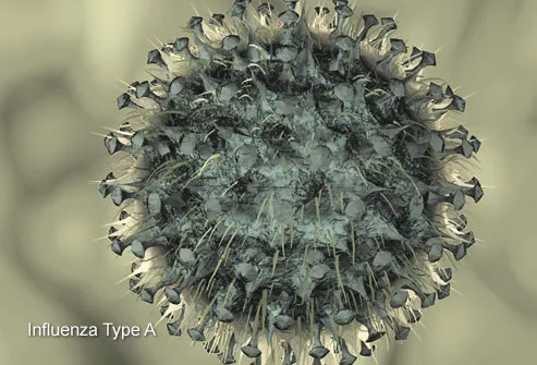 Flu(Influenza Type A) Virus