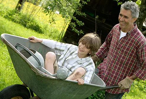 Father pushing son in wheelbarrow in garden