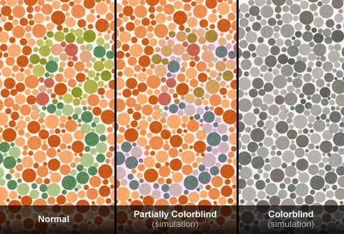 Color Blindness Test Chart