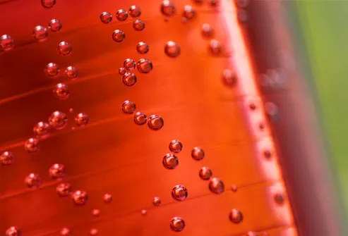 Close-up of bubbles in a soda bottle