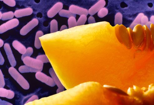 listeria bacteria