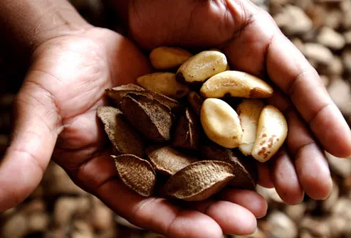 Handful Of Brazil Nuts