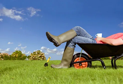 Man relaxing in a wheelbarrow while gardening