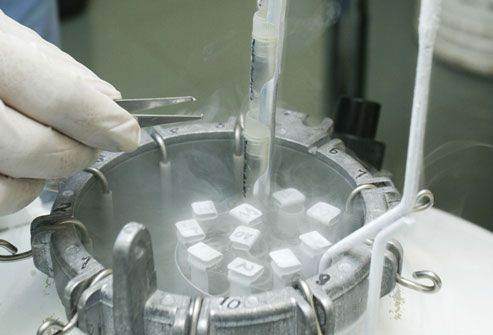 Frozen Semen Samples At Sperm Bank
