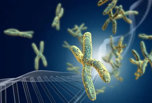 Illustration of dna and chromosones