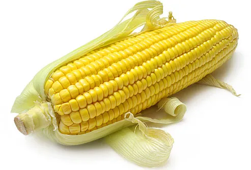 http://img.webmd.com/dtmcms/live/webmd/consumer_assets/site_images/articles/health_tools/organic_produce_slideshow/istock_photo_of_corn.jpg