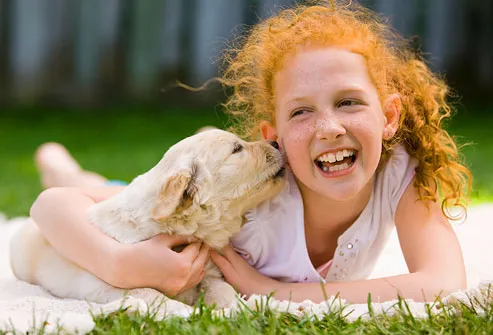 Girl Holding Golden Retriever Puppy