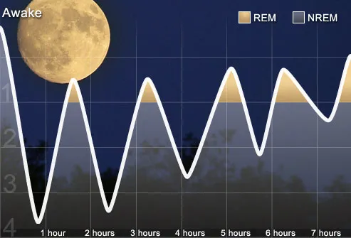 Graph of Normal Sleep Cycle