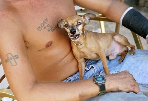 tattoos of dogs. Types: Amateur Tattoos