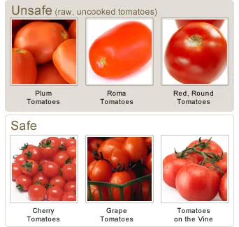 collage of safe and unsafe tomatoes