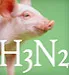 Piglet and the letters h3n2