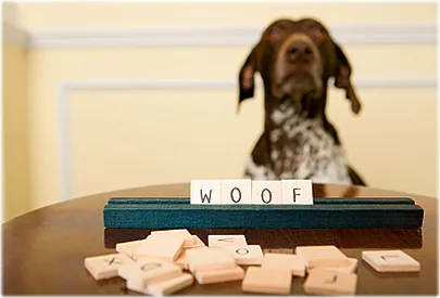 Πόσες λέξεις μπορεί να μάθει ο σκύλος;