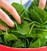 Washing Greens: What to Know