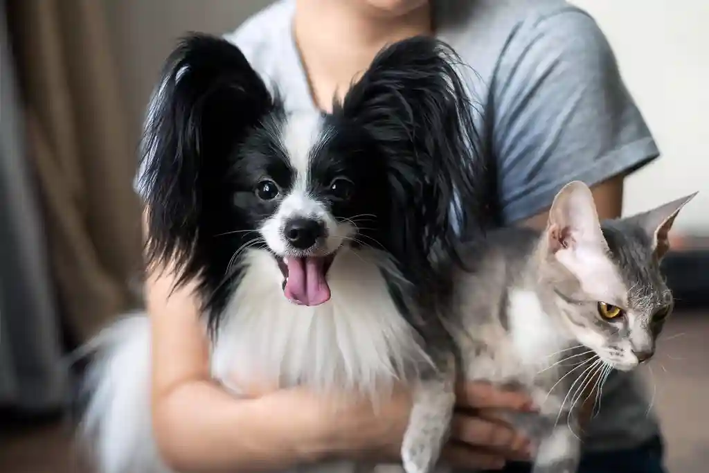 photo of woman holding dog and cat close up