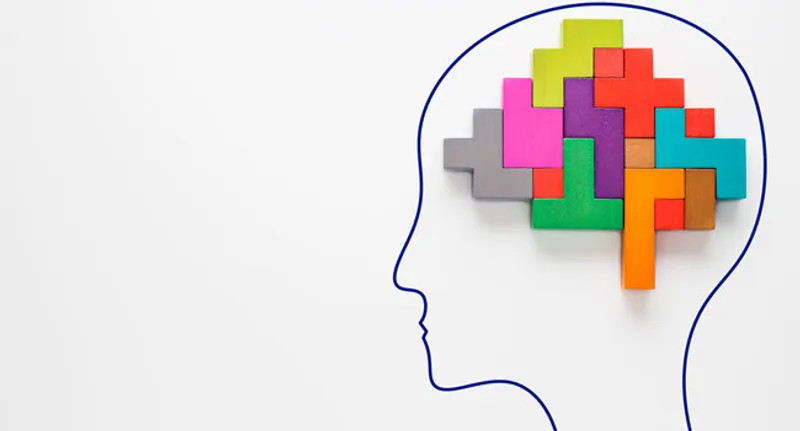 colorful blocks representing brain