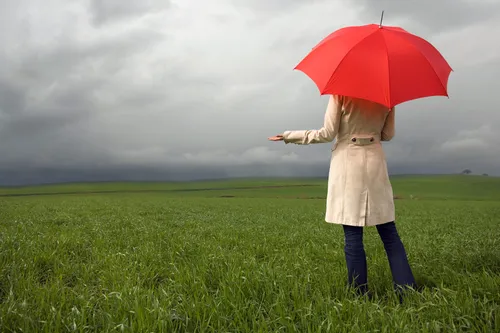 photo of woman holding umbrella in field