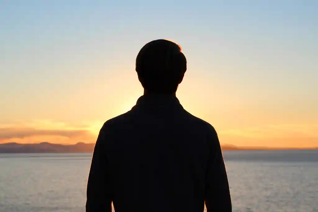photo of back of man looking at sea during sunset