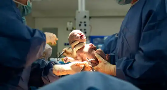 650x350_c-section