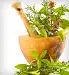 herbs in mortar and pestle