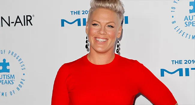 Pink Shares Body Positive Message About Bmi On Instagram