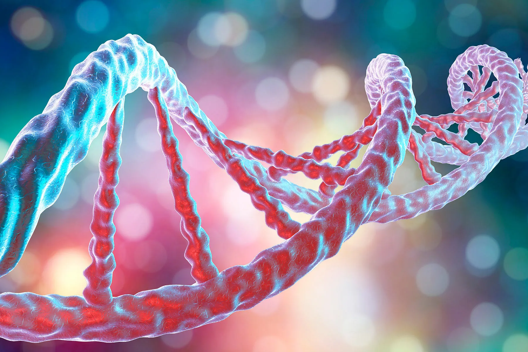 Genes vs. Lifestyle: Which Matters More for Health?