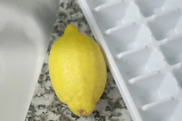 lemon ice tray