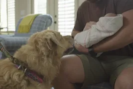 Photo of how to prep your dog for arrival of baby