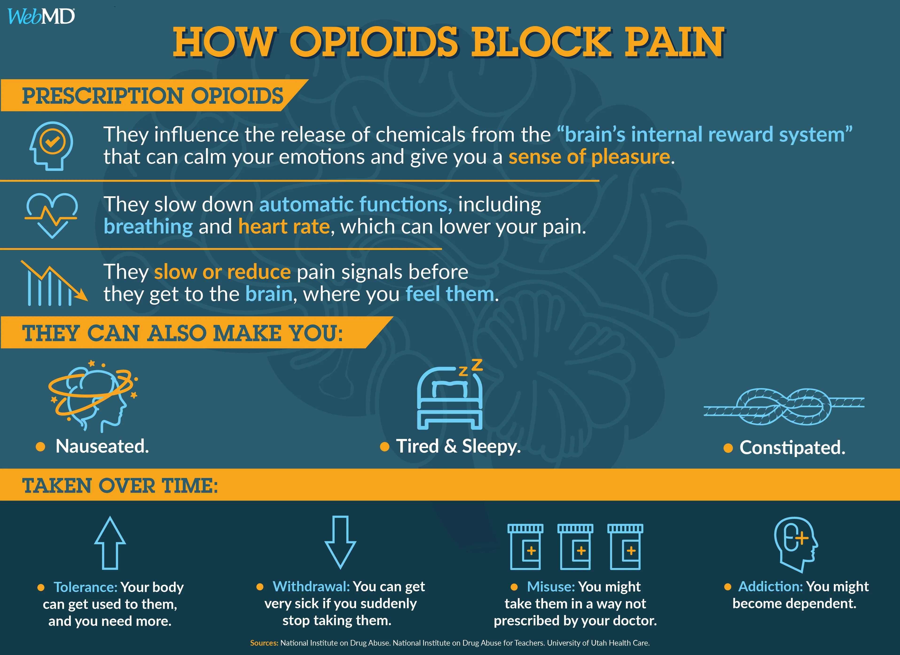 Beyond Opioids: The Future of Pain Management