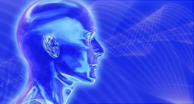 brain waves illustration