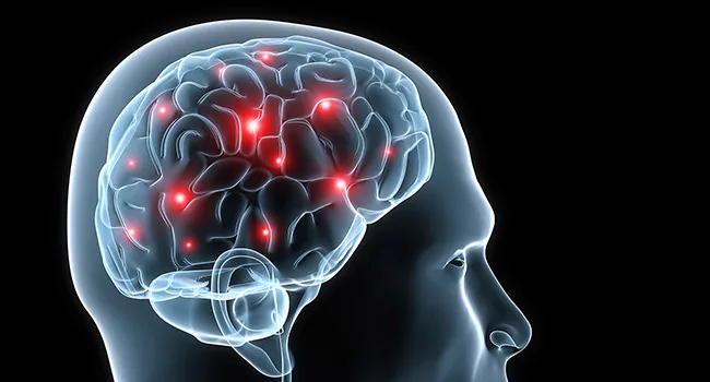 Electrical signals boost short-term memory
