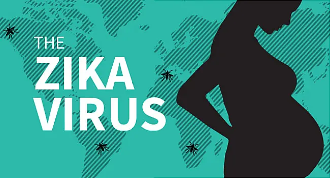pregnant woman illustration about zika