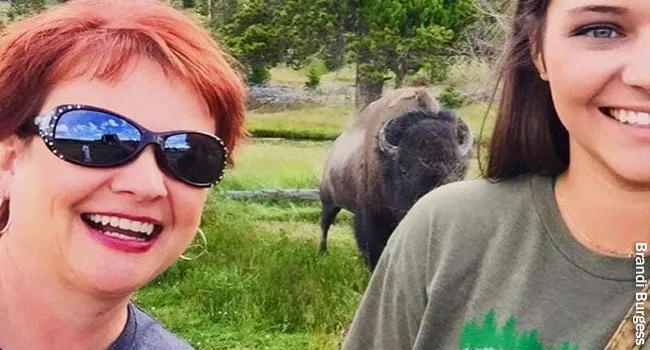 photo of women taking selfie with buffalo
