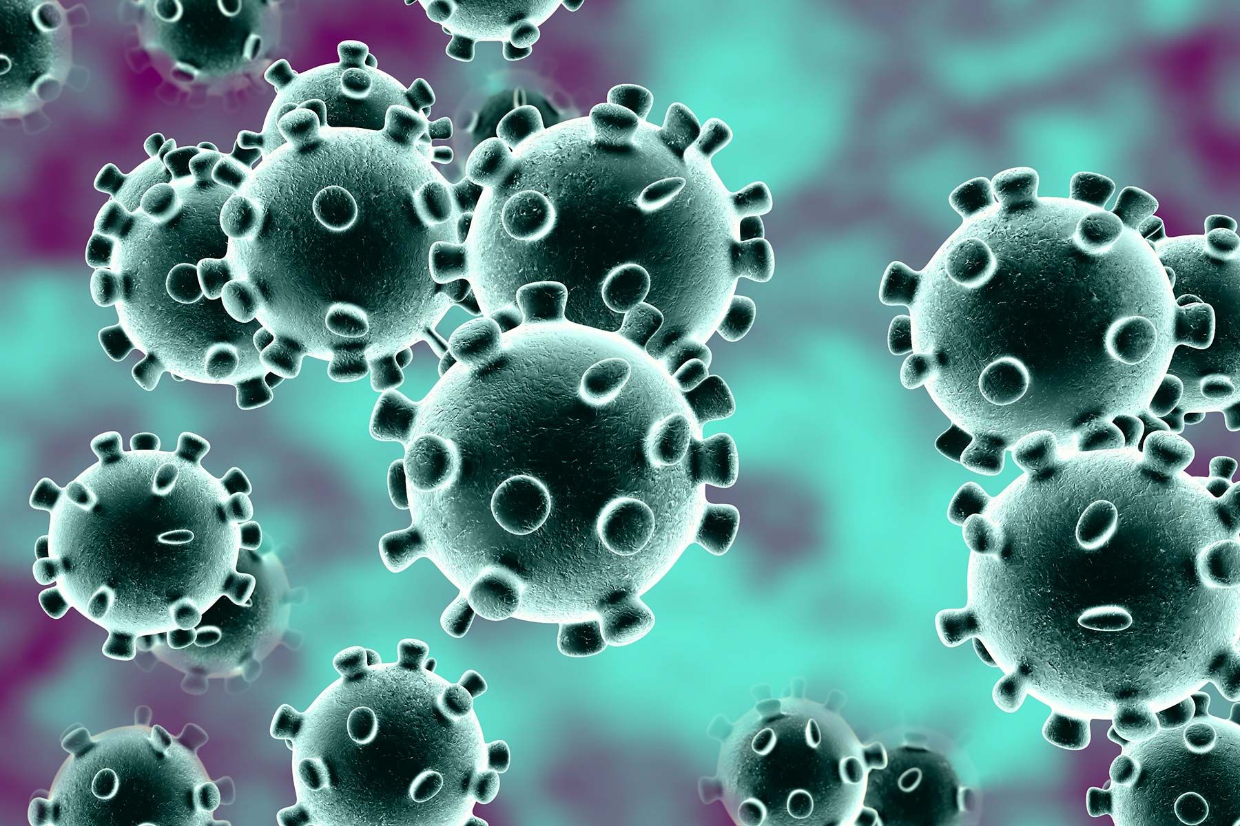 photo of coronavirus