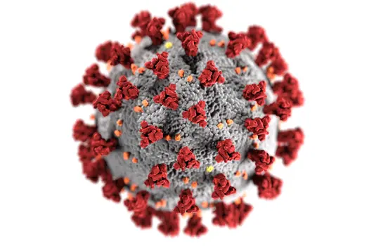 photo of corona virus illustration