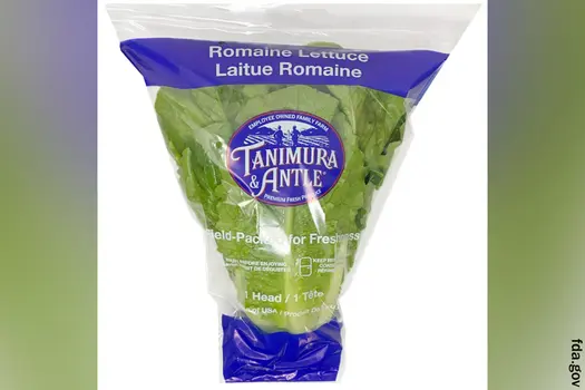 photo of romaine lettuce
