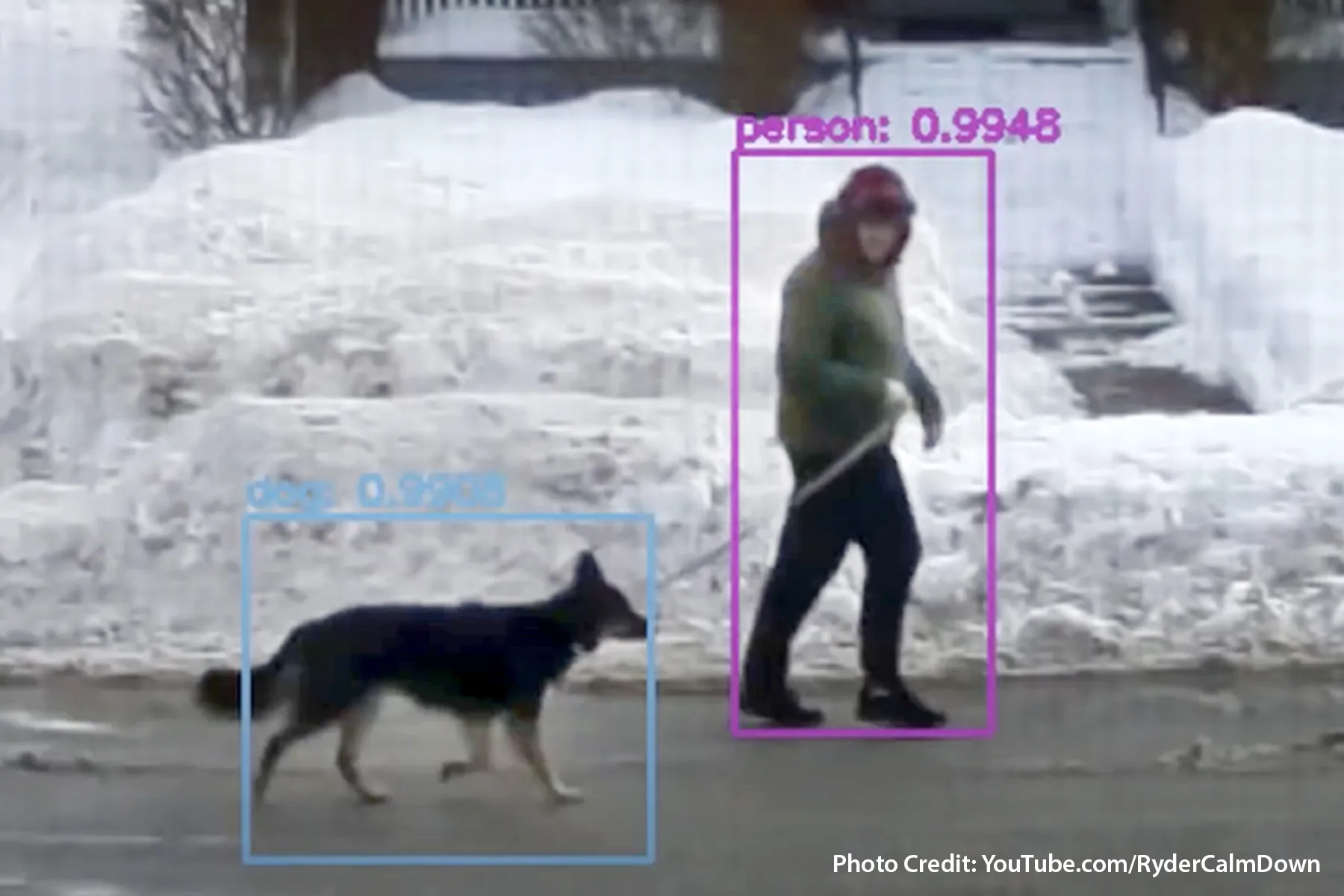 Canine Detector Helps YouTuber Cope With COVID Isolation