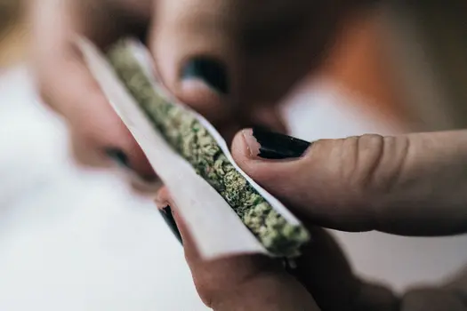 photo of lifestyle marijuana roll joint hands