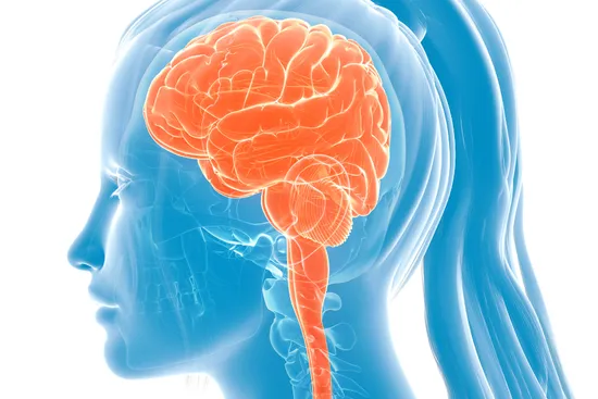 photo of medical illustration blue brain woman ora